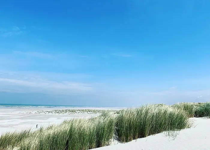 Wad Nou Terschelling Heerlijk Duurzaam Chalet!